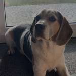 Ersteller:in Lina M Profilbild