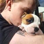 Ersteller:in Lvpo Profilbild