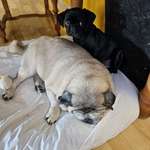 Ersteller:in Iris Profilbild