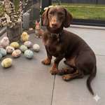 Ersteller:in Justine Profilbild