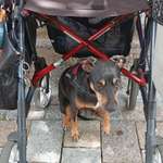 Ersteller:in Angelika Profilbild