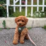 Ersteller:in Sina Profilbild