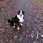 Ersteller:in Ashton Profilbild