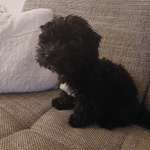 Ersteller:in Silke Profilbild