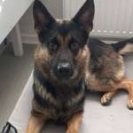 Ersteller:in Kiki Profilbild