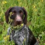 Ersteller:in Sabine Profilbild