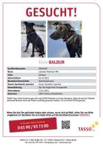 Suchmeldung-Baldur-Bild