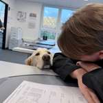 Ersteller:in Jannik Profilbild