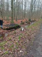 Hundeauslaufgebiet-Egerheide-Bild