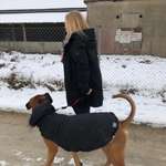 Ersteller:in Colette Profilbild