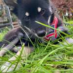 Ersteller:in Xenia Profilbild