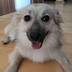 Ersteller:in Valeria Profilbild