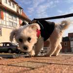 Ersteller:in Ahmet Profilbild