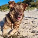 Ersteller:in Luisa Profilbild