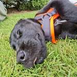 Ersteller:in Natee Profilbild