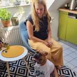 Ersteller:in Ninja Profilbild