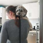 Ersteller:in Heike Profilbild