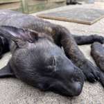 Ersteller:in Philipp Profilbild