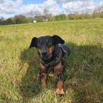 Ersteller:in Nadja Profilbild