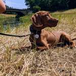 Ersteller:in Bianca Profilbild