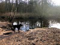 Hundeauslaufgebiet-Wulksfelder Weg - Außenalster-Bild