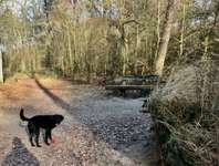 Hundeauslaufgebiet-Wulksfelder Weg - Außenalster-Bild