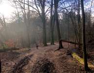 Hundeauslaufgebiet-Wulksfelder Weg - Außenalster-Bild