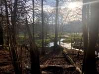 Hundeauslaufgebiet-Wulksfelder Weg - Außenalster-Bild