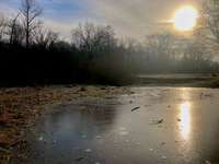 Hundeauslaufgebiet-Wulksfelder Weg - Außenalster-Bild