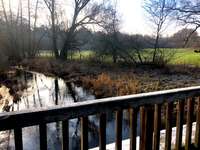 Hundeauslaufgebiet-Wulksfelder Weg - Außenalster-Bild