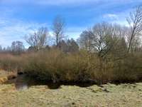 Hundeauslaufgebiet-Wulksfelder Weg - Außenalster-Bild