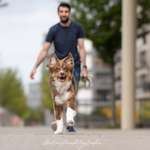 Ersteller:in Patrick Profilbild