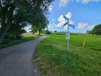 Hundeauslaufgebiet-Feldweg bei Birkenfeld-Bild