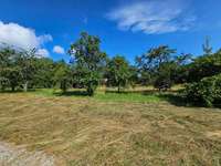 Hundeauslaufgebiet-Feldweg bei Birkenfeld-Bild