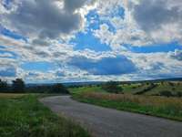 Hundeauslaufgebiet-Feldweg bei Birkenfeld-Bild