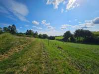 Hundeauslaufgebiet-Feldweg bei Birkenfeld-Bild