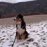 Ersteller:in Uwe Profilbild