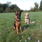 Ersteller:in Sabine  Profilbild