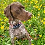 Ersteller:in Kirsten Profilbild