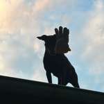 Ersteller:in Marco Profilbild