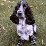 Ersteller:in Steffi Profilbild