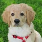 Ersteller:in Bea Profilbild