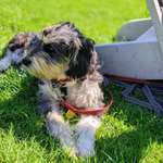 Ersteller:in Jules Profilbild