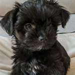 Ersteller:in Meggy Profilbild