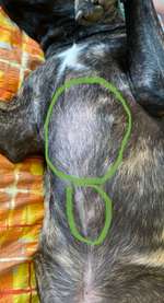 Fell Verlust-Beitrag-Bild