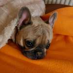 Ersteller:in Alina Profilbild