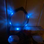 Leuchthalsband für großen Hind-Beitrag-Bild