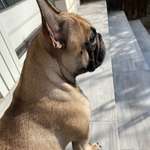 Ersteller:in Charleen Profilbild