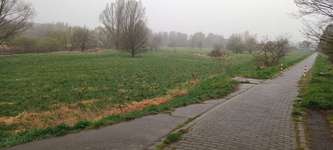 Hundeauslaufgebiet-Aggeraue-Bild