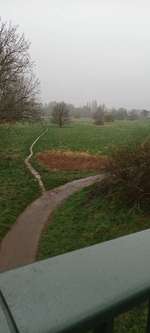 Hundeauslaufgebiet-Aggeraue-Bild